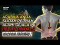 Download Lagu MUNGKIN ANDA PERNAH ALAMI INI , JIKA PERNAH , MAKA ITU CIRINYA ❗ Ciri Pemilik Khodam Harimau Leluhur
