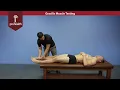 Gracilis Muscle Test Dr Nikita Vizniak Muscle Manual