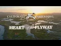 Heart of the Flyway