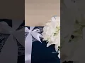 Download Lagu Dulang Hantaran Kahwin by GCK-  White + Cream | Cantik Mudah Simple - Diy