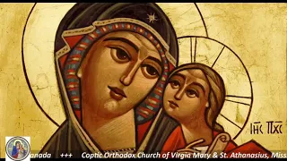 أبدى باسم القدوس 