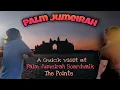 Download Lagu A Quick Visit At The Palm Jumeirah