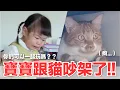 Download Lagu 【好味小姐】寶寶跟貓吵架了！！你們可以一起玩嗎？｜好味貓日常250