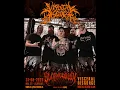 Download Lagu Live: Visceral Disgorge - Slamageddon Full Live Set 31-08-2025 (Hal25, Alkmaar, The Netherlands)