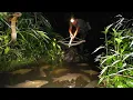 Lagu Building a Wooden Water Trap \u0026 Bamboo Fish Gun | Primitive Fishing Survival