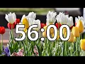 56 Minutes Timer with Music Spring Timer