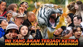 REAKSI ARTIS DAN CONTENT CREATOR KETIKA DI ROAR HARIMAU! ADA YANG SAMPE SHOCK BERAT!!