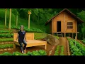 Download Lagu CEO leaves the city for the forest, lives freely off the grid, grows vegetables and raises fish