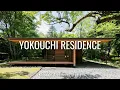 Download Lagu A Silent Pause in the Verdant Calm: A Healer’s Return Home