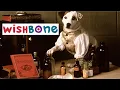 Wishbone Frankenbone Frankenstein episode