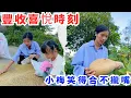 Download Lagu 又到了豐收時刻的喜悅，鄰居豐收稻穀，我們豐收南瓜，兩邊的喜悅小梅開心笑得合不攏嘴