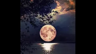 شاهد جديد ا اغنية يا ايها القمر غناء منى عبد الغني و الحان عمار الشريعي 