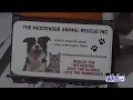 Maine animal control officer opening shelter in Washington County