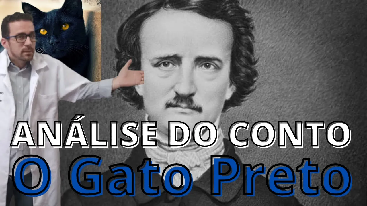 Como analisar o Conto o Gato Preto?  - Análise - Edgar Allan Poe [SEM COMPLICAÇÃO]