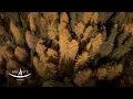 Download Lagu Sami Yusuf – Fiyyashiyya #worldmusic