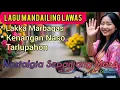 Lagu Jemput Istri Selesai Dinas | Lagu Tapsel Lawas | Perjalanan Santai di Alam Pedesaan Mandailing