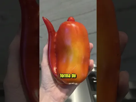 ¡El Fuego Artificial Explotó! 😳