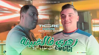 Cheb Amine Tigre Zahri Fel Ghbina يا غبنت معايا ما لحنينة Avec Manini Sahar Live Solazur 2025 