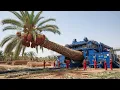 Lagu From Giant Palm Tree to Luxury Furniture: 10,000 Giant Trees Per Day (Full Complete Process)