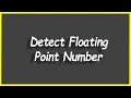 Python Programs Detect Floating Point Number