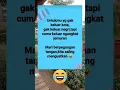 Download Lagu #fyp #viralvideo #trending #shorts #humor #jenaka #gokilabis #faktaunikdanmenginpirasidunia