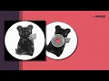 나플라(nafla) - JAIL(제일) 가사ㅣLyricㅣsmay