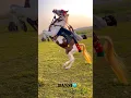 Download Lagu BANSI❤️#horse #horseriding #horselover #love