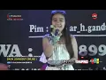 Download Lagu Dua Pilihan Voc Elsa Safitri (Cover Streaming Daon)