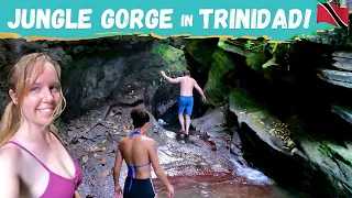 Trek Trinidad’s Hidden Jungle Gorge and Waterfalls! | Near Port of Spain, Trinidad & Tobago