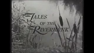Download Tales of the River bank  Early 1960s tv show MP3