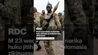 RDC M 23 Waendelea Kuimarika Huku Jitihada Za Kidiplomasia Zikisuasua 