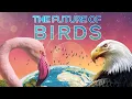 Download Lagu The Future of Birds - trailer