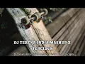 DJ TERENA INDIA MASHUP X TERCIDUK VIRAL TIK TOK