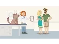 Banfield Pet Hospital - Optimum Wellness Plans for Dogs and Cats