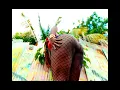 ARMANII, NOTNICE - WUL UP (OFFICIAL MUSIC VIDEO)