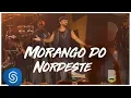 Download Lagu Alexandre Pires - Morango do Nordeste (O Baile do Nêgo Véio - Ao Vivo Em Jurerê) [Clipe Oficial]