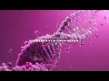 Download Lagu Refuzion ft. POPR3B3L - Hardstyle DNA 2024 (Official Hardstyle Visualizer)