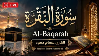 بث مباشر سورة البقرة كاملة  تحصين البيت وجلب البركة  للقارئ عصام حمود                   دندنها