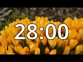 28 Minutes Timer with Music Spring Timer