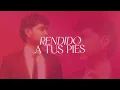 Verbenation, Canal RCN - Rojo Carmesí (Lyric Video)