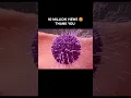 Download Lagu THE PROCESS OF FERTILIZATION in GIRLS | 10 Million views