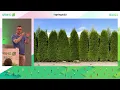 Let s build components not layers by Tom Hombergs Spring 2022