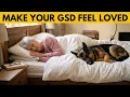 14 Small Gestures That Make Your German Shepherd Feel Deeply Loved