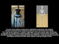 MT Manager into Opensim Demo