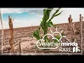 WATCH LIVE - WeatherMinds The drought rain numbers and smoky skies