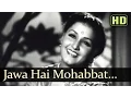 Download Lagu Jawan Hai Mohabbat Haseen - Noor Jehan - Anmol Ghadi - Bollywood Songs