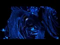 Boris Gardner.....I wanna wake up with you (lyrics)