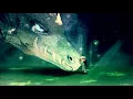 Nightcore - Forgive Me Friend