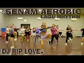 Download Lagu AEROBIC TERBARU MUSIKNYA MANTUL | SENAM FESYA SAHARA
