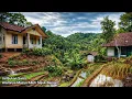 Lagu BUKA PINTU LANGSUNG MELIHAT SAWAH‼️KAMPUNG INDAH SEJUTA PESONA TERCANTIK SEKOLONG LANGIT. 